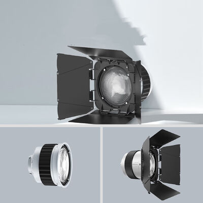 F20 Fresnel Lens Universal Bowen Mounts Studio Light Condenser for Photography Light поставщик