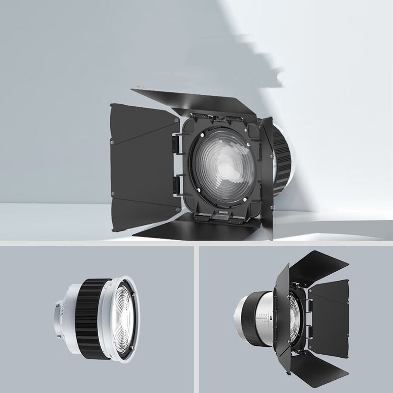 F20 Fresnel Lens Universal Bowen Mounts Studio Light Condenser for Photography Light поставщик